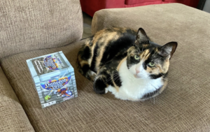 Calico cat curled up with Dungeon Drop box