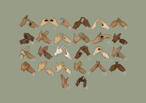 Many hands showing the BSL alphabet
