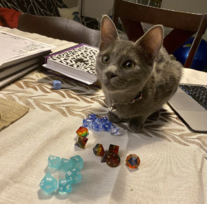 Gray kitten looking over a couple of sets of dice