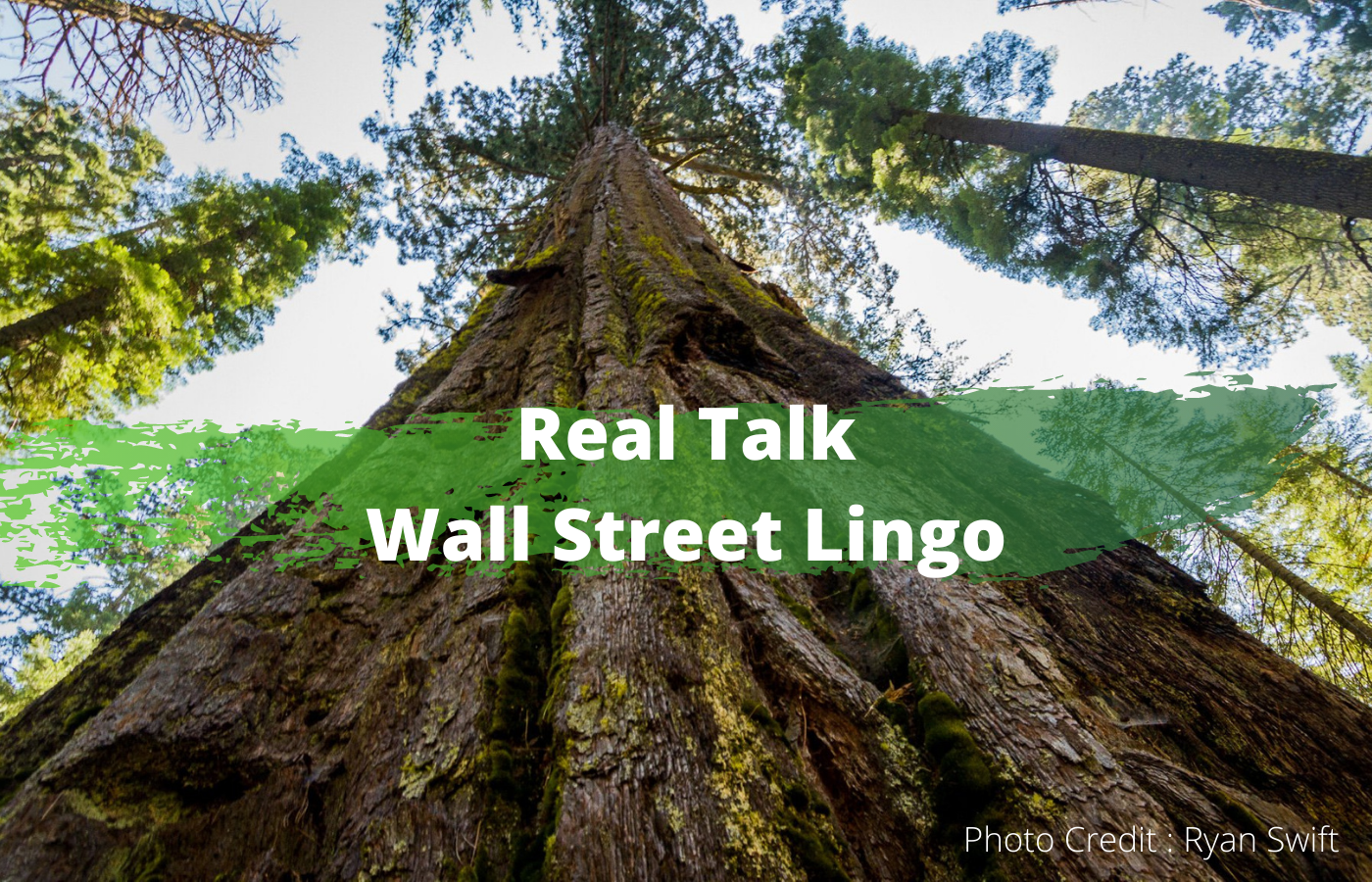 test reads real talk wall street lingo