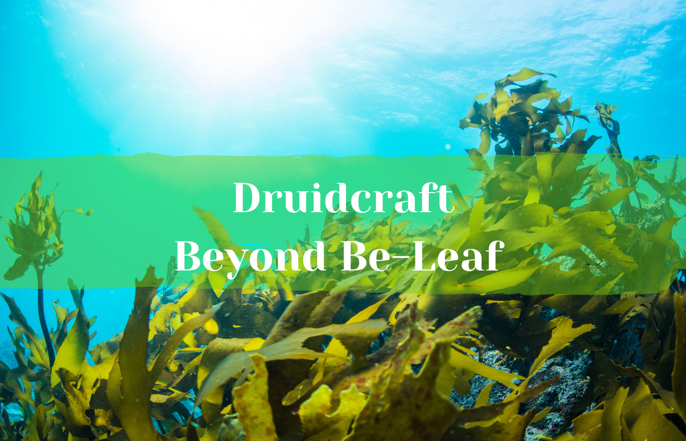 Text reads Druidcraft: Beyond Be-Leaf over a kelp forest in the ocean