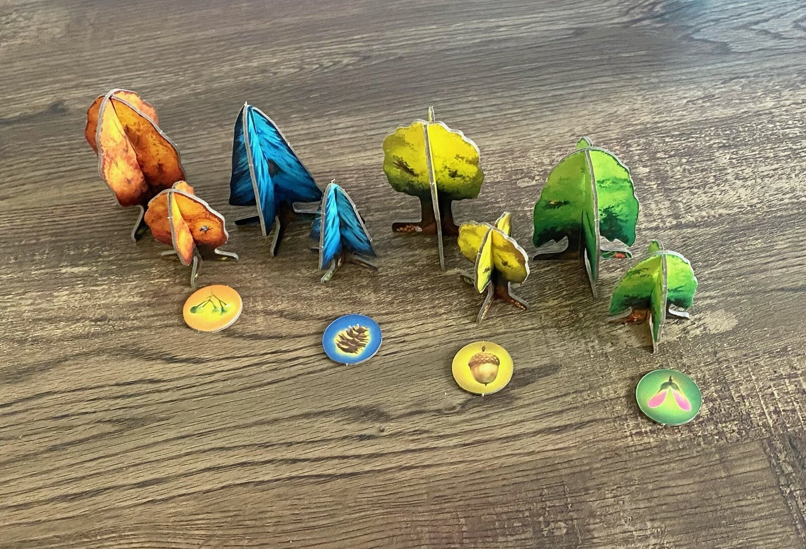 Game pieces of all four trees in different sizes, with seed token