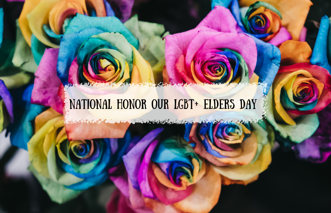 Text reads: National Honor Our LGBT+ Elders Day