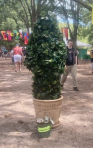 man dressed as a shrub, standing in a pot