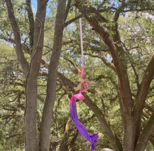 Female airel artist hands upside down from a pink and purple silk hung high in the tree tops