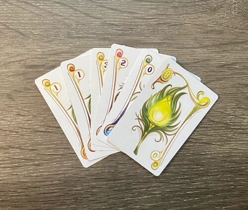 hand of cards featuring peacock feathers 