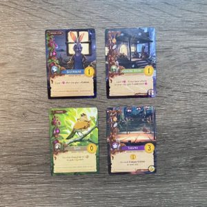 Critter cards with matching locations.