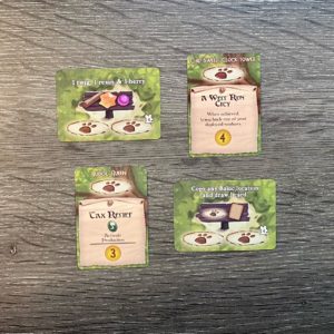 EverdellSpecial Special Action Cards