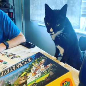 Black and White Cat with front paws on a table looking over the Brew game box