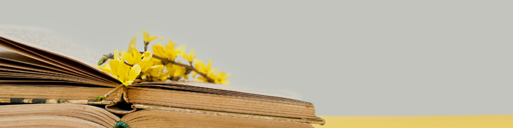 yellow flowers onto one open book