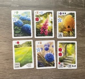 six of the garden element cards for Flourish