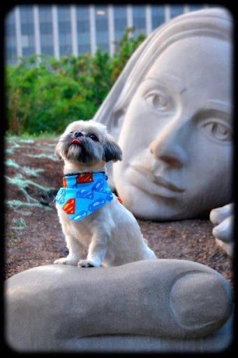 Dog standing in front of sculpture