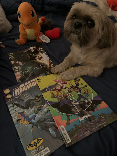 Puppy sitting on comic books