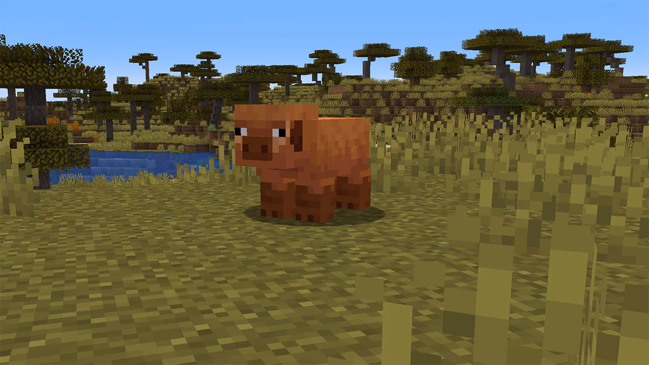 MCV_SpringDrop_testing_Jan8_Pig variants_4b_1280x720